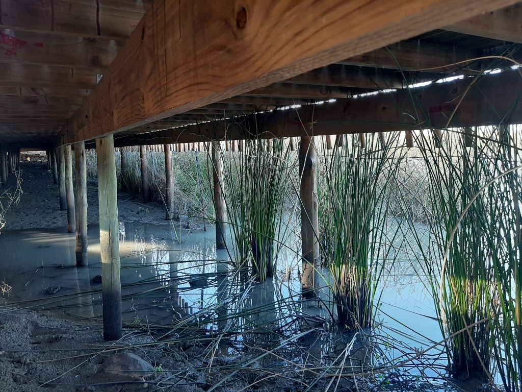 Traveyola Notwane River Cruise Gaborone Botswana