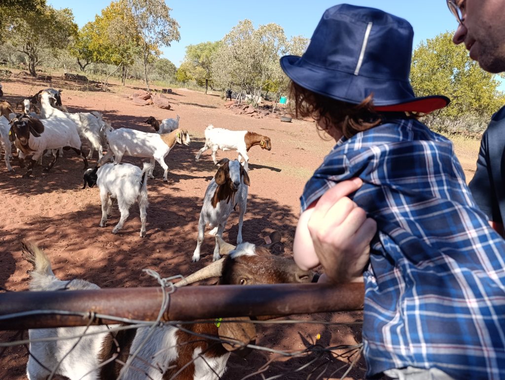 Traveyola-Gaborone-Bahurutshe-Cultural-Village-Experience-Gabs-Botswana