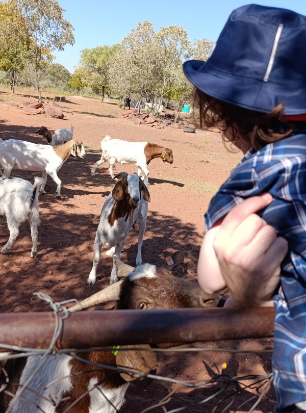 Traveyola-Gaborone-Bahurutshe-Cultural-Village-Experience-Gabs-Botswana