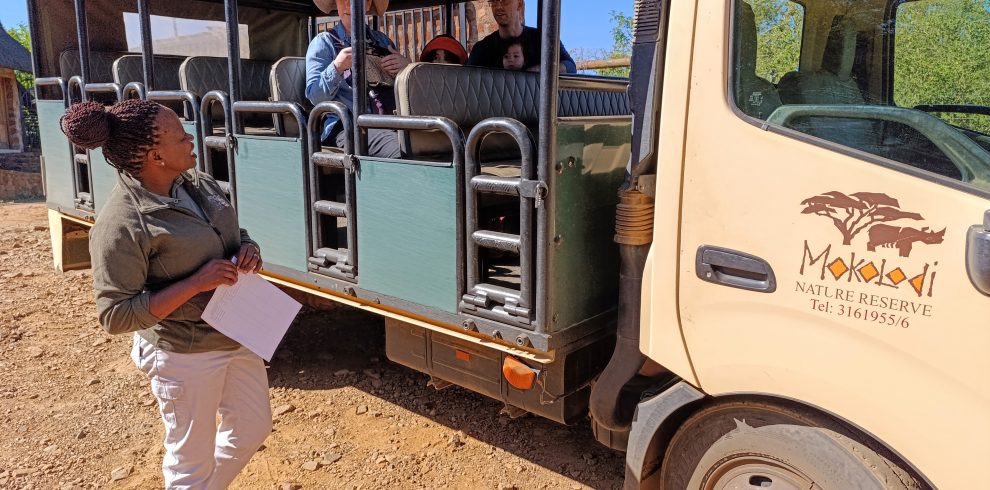 Traveyola Mokolodi Nature Reserve game drive truck