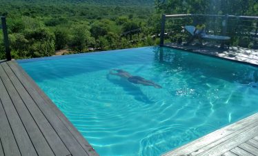 Goo Moremi - Swimming Experience with Traveyola