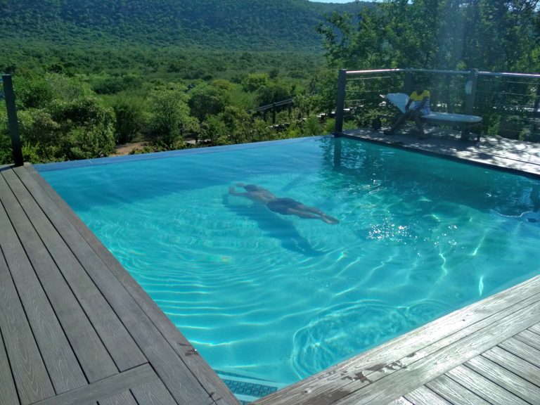 Goo Moremi - Swimming Experience with Traveyola