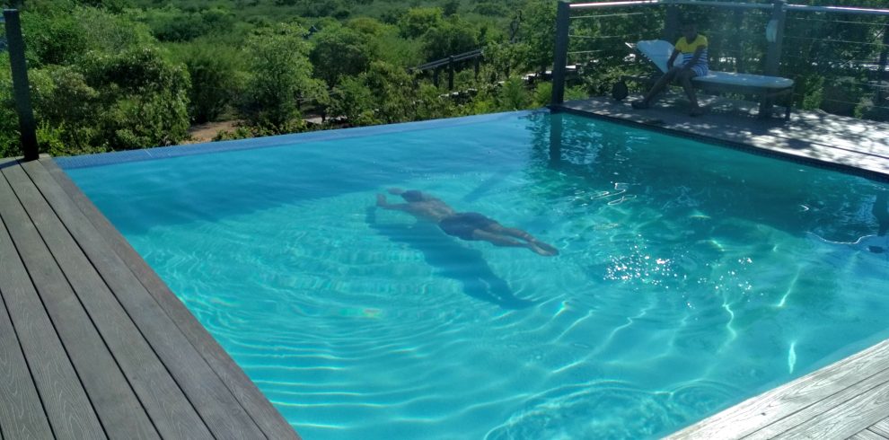 Goo Moremi - Swimming Experience with Traveyola